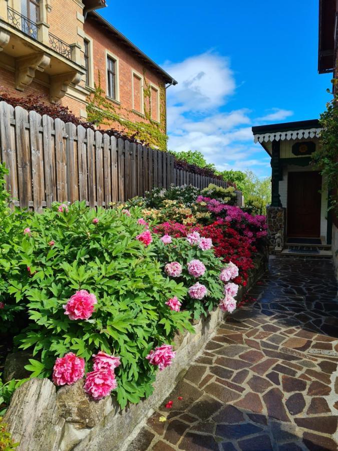 Ferienwohnung Am Heidelberg Blankenburg  Εξωτερικό φωτογραφία